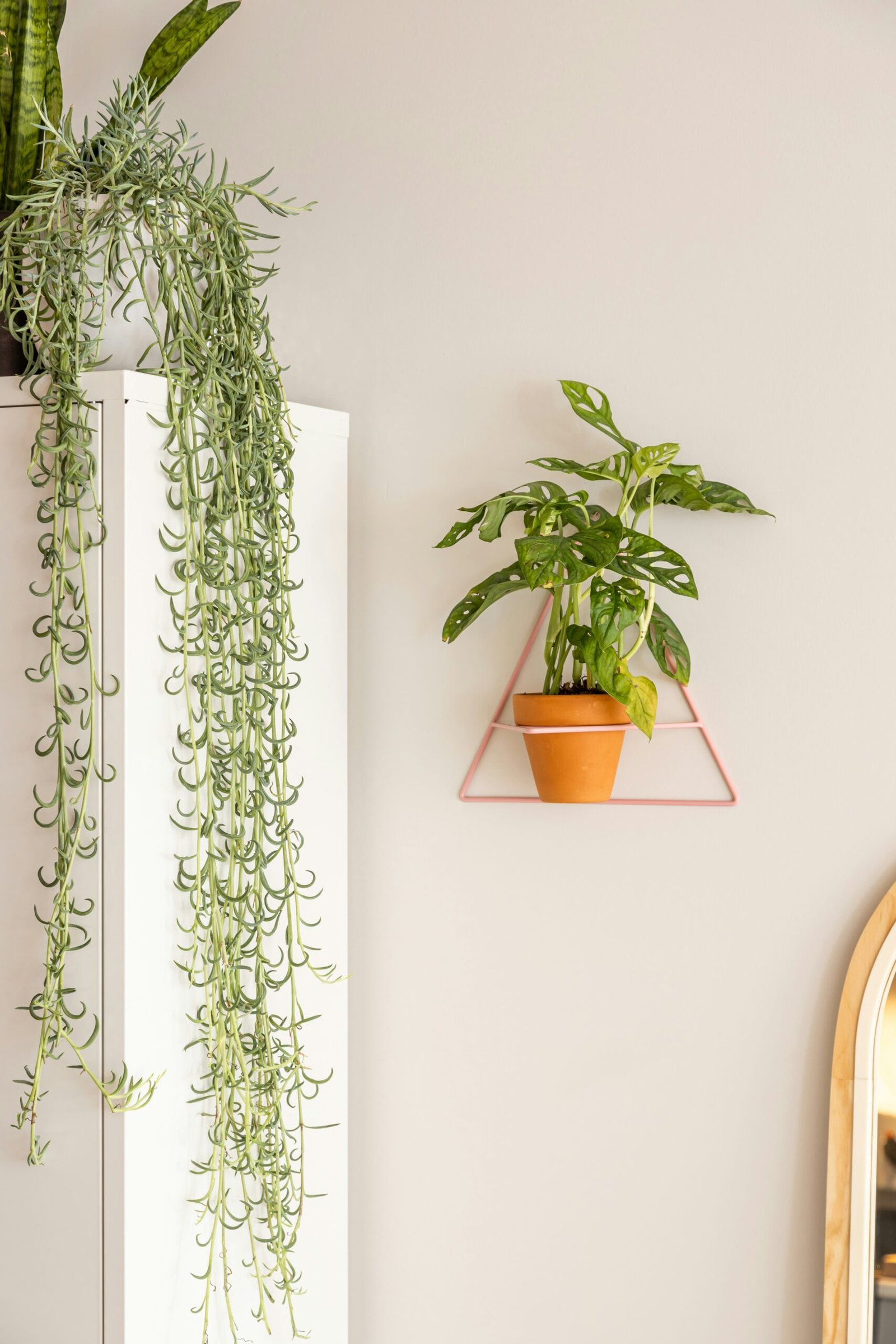 What Are The Best Home Decor Tips For Renters?