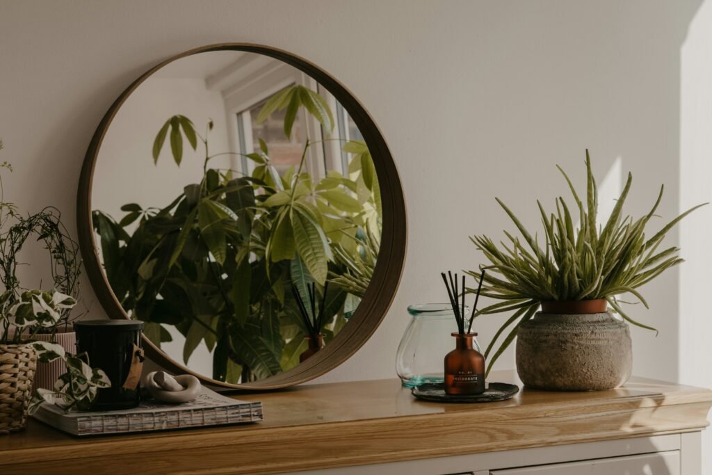 How Can I Decorate My Bedroom With Plants?