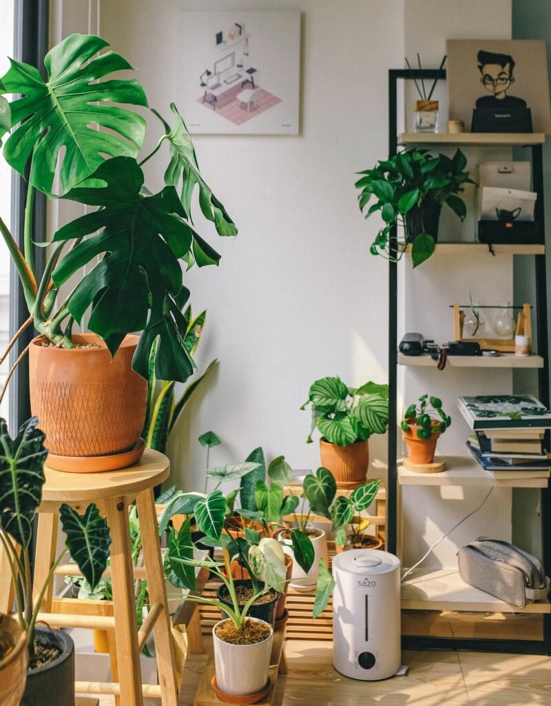How Can I Decorate My Bedroom With Plants?