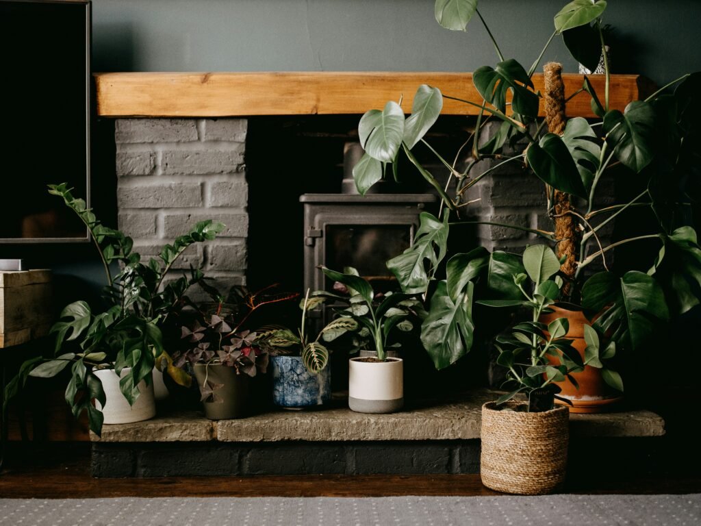 How Can I Decorate My Bedroom With Plants?