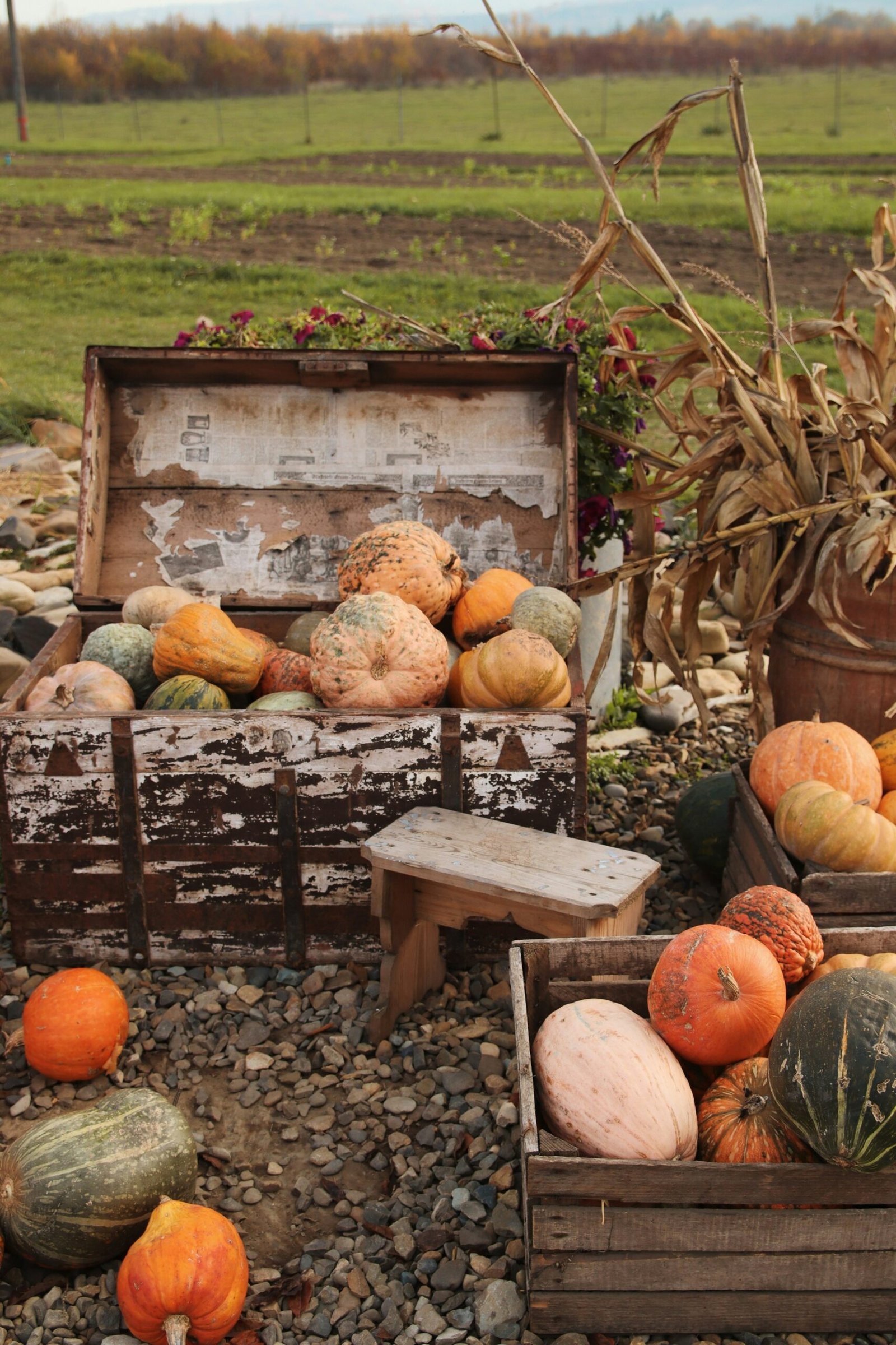 How Can I Decorate My Living Room For All Seasons?
